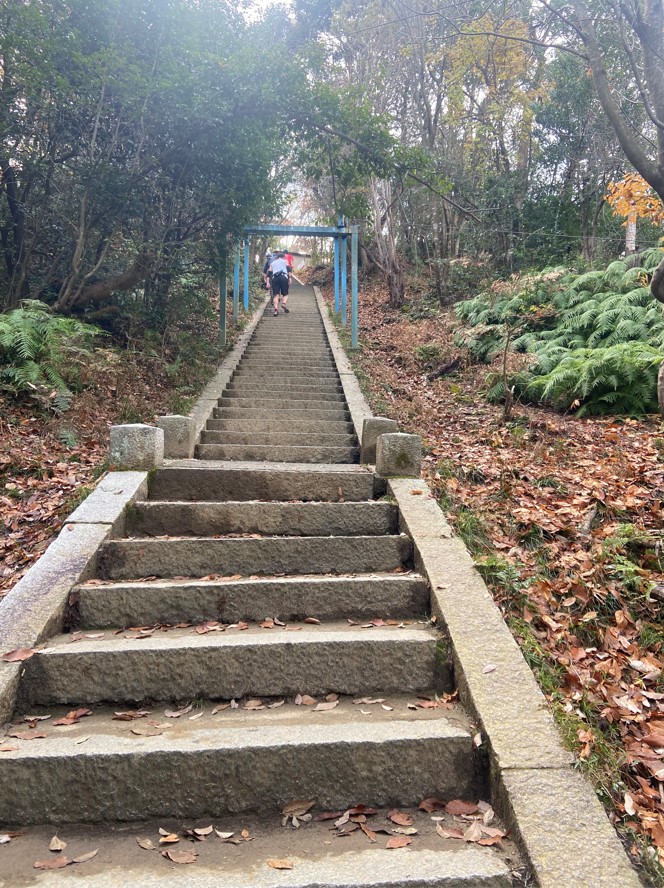2021東山トレランコース階段
